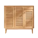 Shoe Cabinets